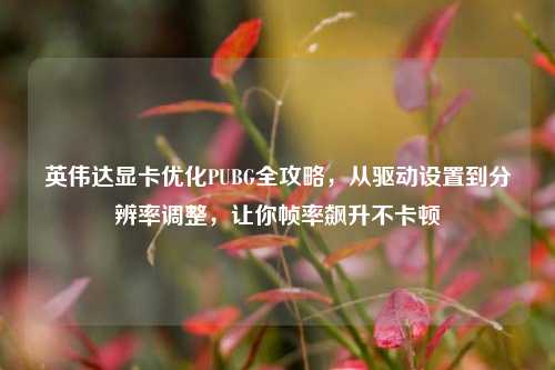 英伟达显卡优化PUBG全攻略，从驱动设置到分辨率调整，让你帧率飙升不卡顿