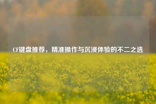 CF键盘推荐,精准操作与沉浸体验的不二之选