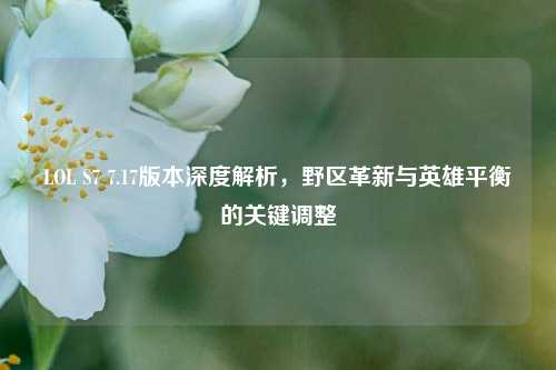 LOL S7 7.17版本深度解析,野区革新与英雄平衡的关键调整