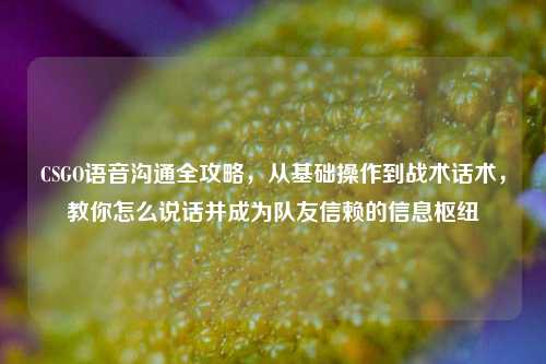 CSGO语音沟通全攻略，从基础操作到战术话术，教你怎么说话并成为队友信赖的信息枢纽