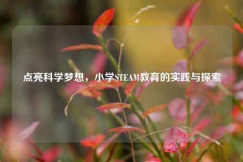 点亮科学梦想，小学STEAM教育的实践与探索