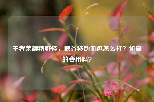 王者荣耀猪野怪,峡谷移动血包怎么打?你真的会用吗?