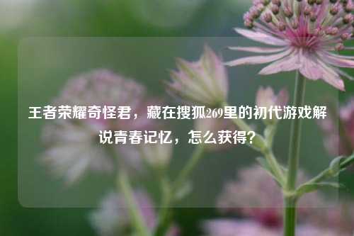 王者荣耀奇怪君,藏在搜狐269里的初代游戏解说青春记忆,怎么获得?