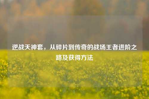 逆战天神套，从碎片到传奇的战场王者进阶之路及获得方法