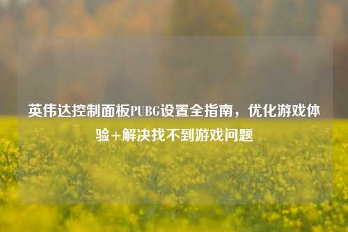 英伟达控制面板PUBG设置全指南，优化游戏体验+解决找不到游戏问题