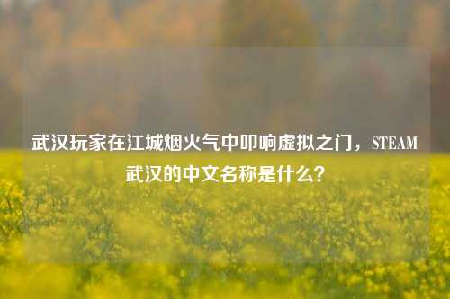 武汉玩家在江城烟火气中叩响虚拟之门,STEAM武汉的中文名称是什么?