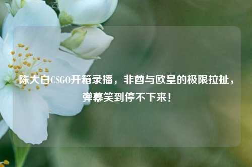 陈大白CSGO开箱录播,非酋与欧皇的极限拉扯,弹幕笑到停不下来!