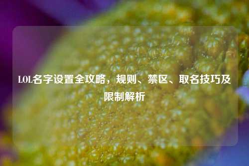 LOL名字设置全攻略，规则、禁区、取名技巧及限制解析