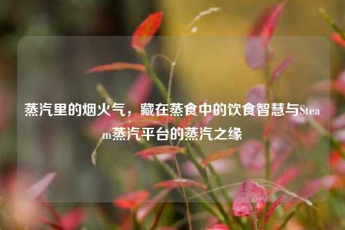 蒸汽里的烟火气，藏在蒸食中的饮食智慧与Steam蒸汽平台的蒸汽之缘