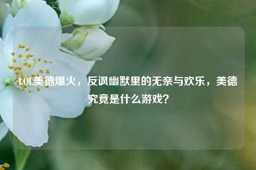 LOL美德爆火,反讽幽默里的无奈与欢乐,美德究竟是什么游戏?