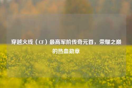 穿越火线（CF）最高军阶传奇元首，荣耀之巅的热血勋章
