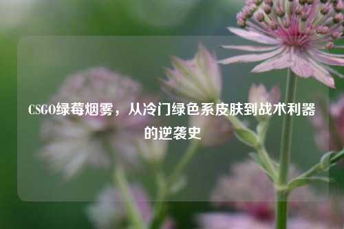 CSGO绿莓烟雾,从冷门绿色系皮肤到战术利器的逆袭史