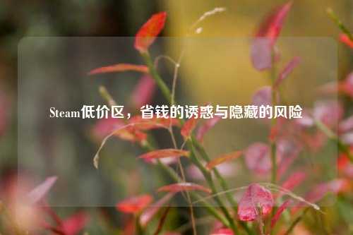 Steam低价区,省钱的诱惑与隐藏的风险