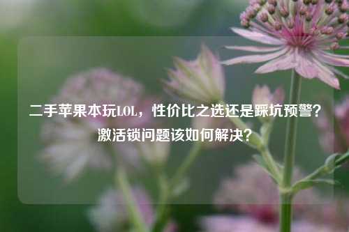 二手苹果本玩LOL，性价比之选还是踩坑预警？激活锁问题该如何解决？