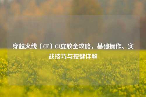 穿越火线(CF)C4安放全攻略,基础操作、实战技巧与按键详解