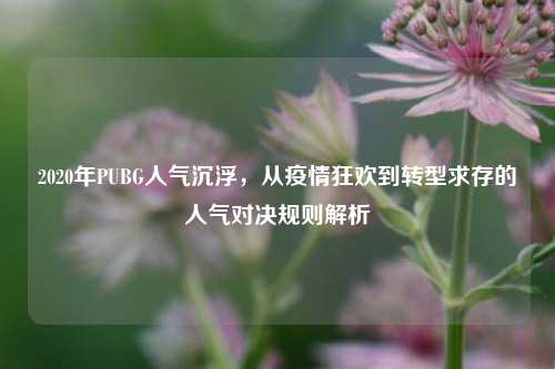 2020年PUBG人气沉浮，从疫情狂欢到转型求存的人气对决规则解析