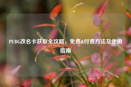 PUBG改名卡获取全攻略，免费&付费方法及使用指南