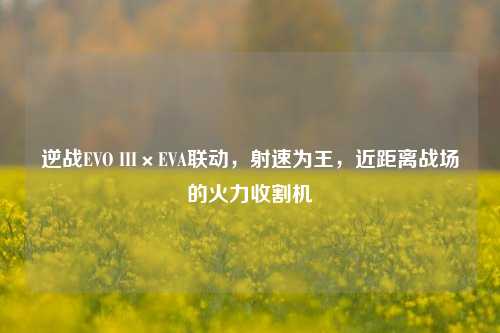 逆战EVO III×EVA联动，射速为王，近距离战场的火力收割机
