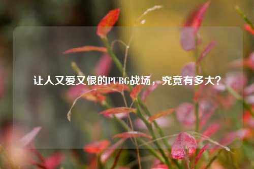 让人又爱又恨的PUBG战场，究竟有多大？