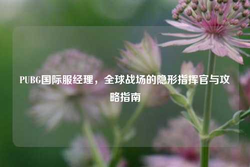 PUBG国际服经理,全球战场的隐形指挥官与攻略指南