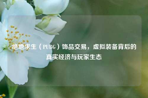 绝地求生(PUBG)饰品交易,虚拟装备背后的真实经济与玩家生态