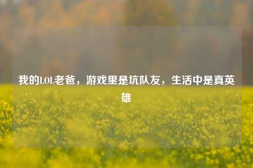 我的LOL老爸，游戏里是坑队友，生活中是真英雄