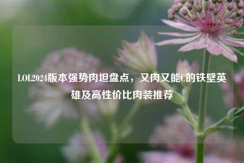 LOL2024版本强势肉坦盘点,又肉又能C的铁壁英雄及高性价比肉装推荐