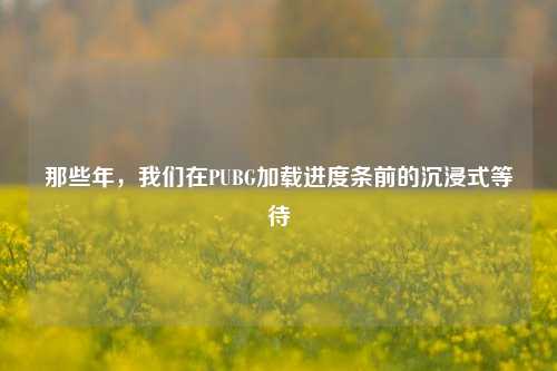 那些年,我们在PUBG加载进度条前的沉浸式等待