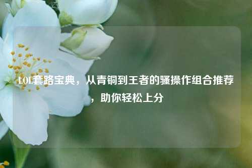 LOL套路宝典,从青铜到王者的骚操作组合推荐,助你轻松上分
