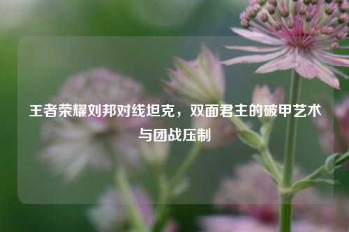王者荣耀刘邦对线坦克，双面君主的破甲艺术与团战压制