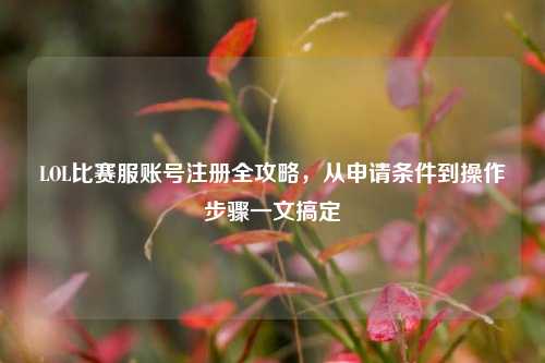 LOL比赛服账号注册全攻略，从申请条件到操作步骤一文搞定