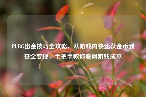 PUBG出金技巧全攻略,从游戏内快速获金币到安全变现,手把手教你赚回游戏成本