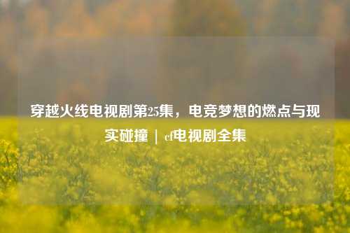 穿越火线电视剧第25集，电竞梦想的燃点与现实碰撞 | cf电视剧全集