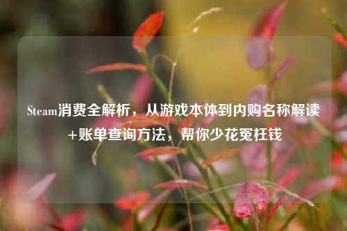 Steam消费全解析,从游戏本体到内购名称解读+账单查询方法,帮你少花冤枉钱