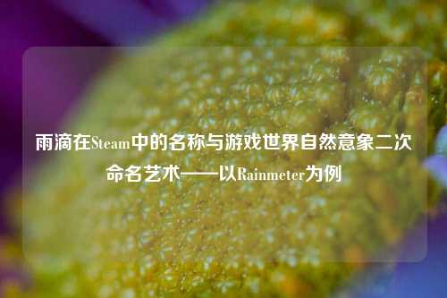 雨滴在Steam中的名称与游戏世界自然意象二次命名艺术——以Rainmeter为例