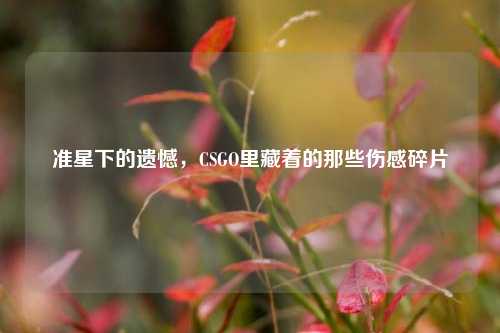 准星下的遗憾,CSGO里藏着的那些伤感碎片