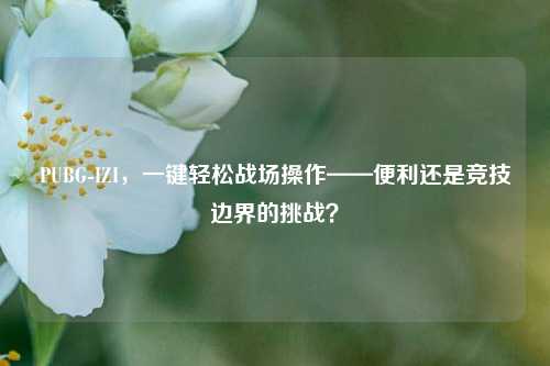 PUBG-IZI,一键轻松战场操作——便利还是竞技边界的挑战?