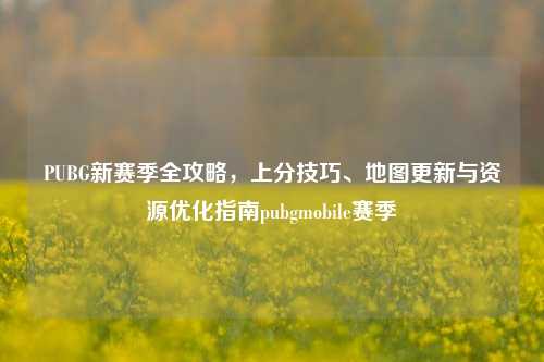 PUBG新赛季全攻略,上分技巧、地图更新与资源优化指南pubgmobile赛季