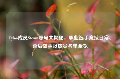 Tyloo成员Steam账号大揭秘，职业选手竞技日常、幕后故事及成员名单全览
