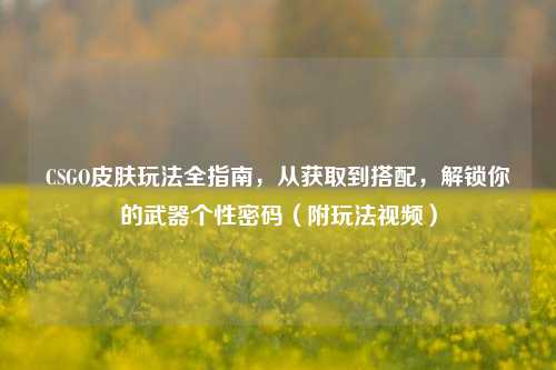 CSGO皮肤玩法全指南,从获取到搭配,解锁你的武器个性密码(附玩法视频)