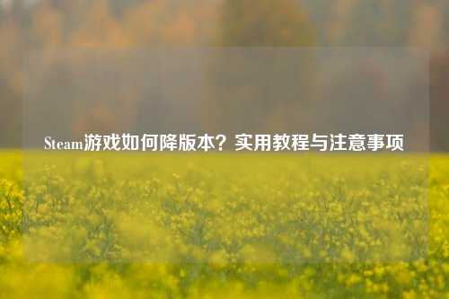 Steam游戏如何降版本？实用教程与注意事项