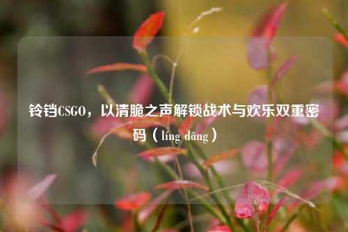 铃铛CSGO,以清脆之声解锁战术与欢乐双重密码(líng dāng)