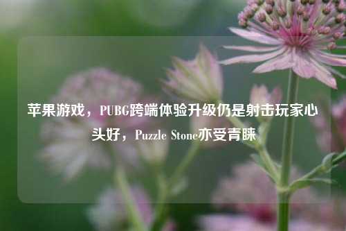 苹果游戏，PUBG跨端体验升级仍是射击玩家心头好，Puzzle Stone亦受青睐