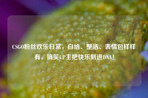 CSGO粉丝欢乐日常,白给、整活、表情包样样有,搞笑UP主把快乐刻进DNA!