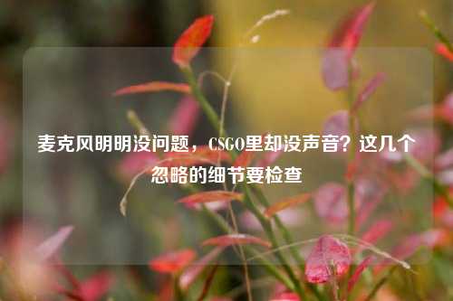 麦克风明明没问题,CSGO里却没声音?这几个忽略的细节要检查