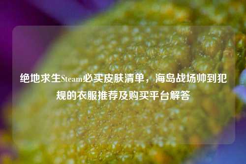 绝地求生Steam必买皮肤清单，海岛战场帅到犯规的衣服推荐及购买平台解答