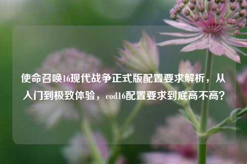 使命召唤16现代战争正式版配置要求解析，从入门到极致体验，cod16配置要求到底高不高？