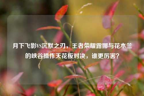 月下飞影VS沉默之刃，王者荣耀露娜与花木兰的峡谷操作天花板对决，谁更厉害？