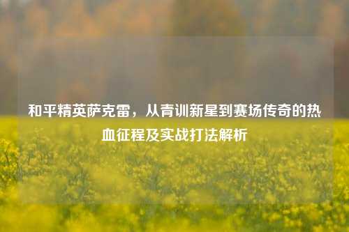 和平精英萨克雷,从青训新星到赛场传奇的热血征程及实战打法解析