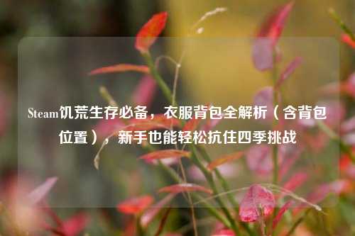 Steam饥荒生存必备，衣服背包全解析（含背包位置），新手也能轻松抗住四季挑战